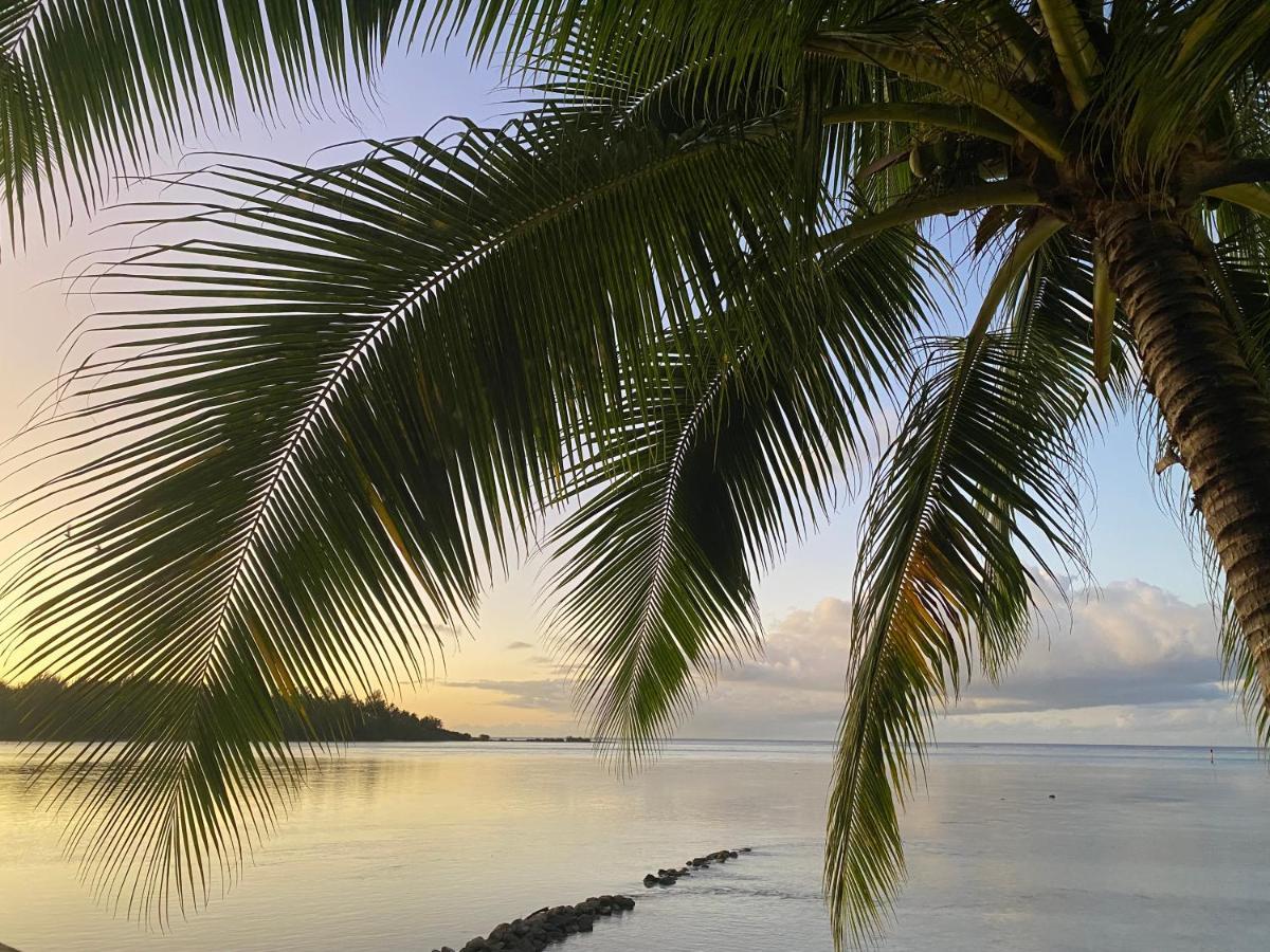 Tradewinds Lodge Diani Beach Exterior foto